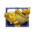 5dragon